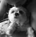 Donna Roa - Facebook