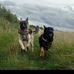 Donna Roach - Facebook