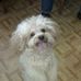 Donna Roane - Facebook