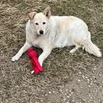 Donna Robb - @donna3kiwi - Instagram