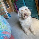 Donna Robb - @donna.robb2 - Instagram