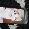 Donna Robb - @donnarobb05 - TikTok