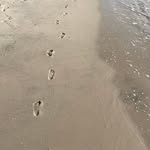Donna Robb Schneider - @donnaschneider598 - Instagram
