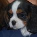 Donna Robillard - Facebook