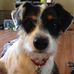 Donna Rae Robitaille - Facebook