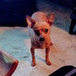 Donna Robitaille - @donnajacobs1951 - Instagram