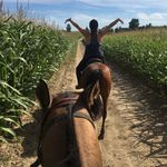 Donna Robson - @donnaandwade - Instagram