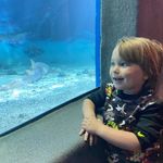 Donna Roby - @roby.donna - Instagram