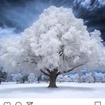 Donna Rochon - @dunit48 - Instagram