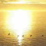 Donna Rochon - @crystals4wellness - Instagram
