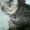 XxDonnaRocksxX - @xxdonnarocksxx - TikTok