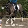 Donna Rodda Goodwin - @donnaroddagoodwin - TikTok