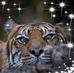 Donna Rodden - Facebook