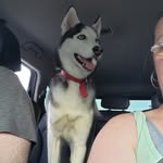 Donna Christine Rodier - @happygirl02us - Instagram