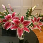 Donna Rodney - @dmr.hp - Instagram