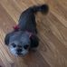 Donna Roebuck - Facebook