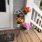 Dena Rohrabaugh - Facebook