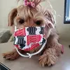 Donna Rorabaugh - @user41867716 - TikTok