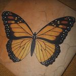 Donna Rolfe-Huismans - @donnarolfehuismans - Instagram