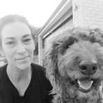 Donna Rosato - @rosato_donna - Instagram