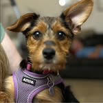 Donna Hartnett Rosenbaum - @drosenbaum68 - Instagram