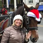 Donna Rosenbaum - @donnabaum59 - Instagram