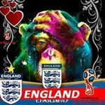 Donna Rowland - @donna.rowland.184007 - Instagram