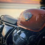 Donna ~ Royal Enfield INT650 - @orange_krushed - Instagram