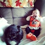 Donna  Royer - @donna.royer - Instagram