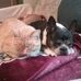 Donna Royer - Facebook