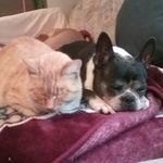 Donna Royer - @donnaroyer50 - Instagram