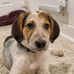 Donna Elaine Royston - Facebook