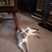 Donna Raczynski - Facebook
