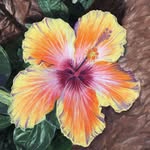 www.DonnaRuaneRogers.com - @donnaruanerogers - Instagram