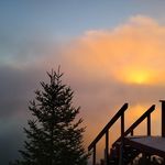 Donna Ruelland - @donnaruelland - Instagram