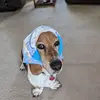 Donna Ruggles - @donna.ruggles - TikTok