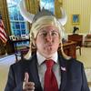 user9546647789734 - @donnadrumpf - TikTok