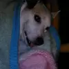 Donna Rusek - @donna.rusek - TikTok