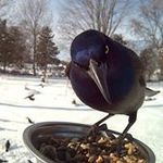 Donna Rusnak - @donnarusnak - Instagram