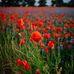 Donna Rust - Facebook