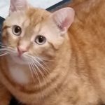 Donna Ruzicka - @donna.ruzicka - Instagram