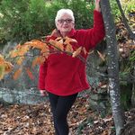 Donna Salem - @ballyhogdog - Instagram