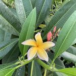 Donna Sample - @sample2064 - Instagram