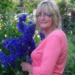 Donna Sampson - @dsampsc605rogers.com_ - Instagram