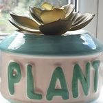 Donna Sampson - @plantlady.123 - Instagram