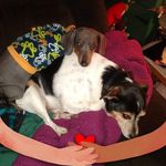Donna Sampson - @donna.sampson.56829 - Instagram