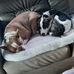 Donna Sams - Facebook