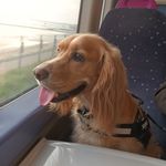Donna Sams - @donnasams2018 - Instagram