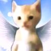Dona Sanborn - @donasanborn6207 - TikTok