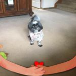 Donna Sanborn - @donnasanborn4 - Instagram